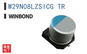 W29N08LZSICG TR