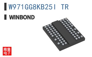 W971GG8KB25I TR