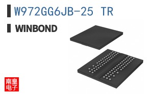 W972GG6JB-25 TR