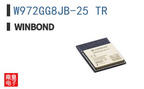 W972GG8JB-25 TR