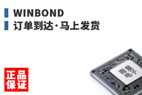 Winbond ����������Ϸ���